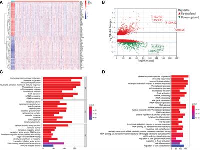 An immune genes signature for predicting mortality in sepsis patients
